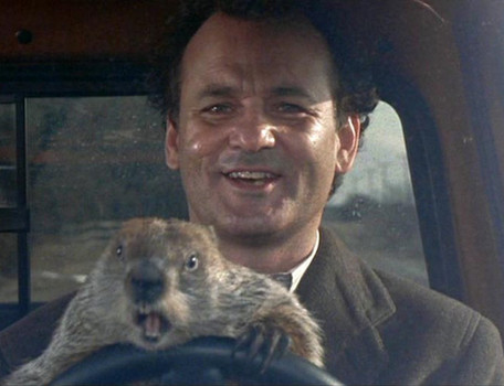 groundhogsday